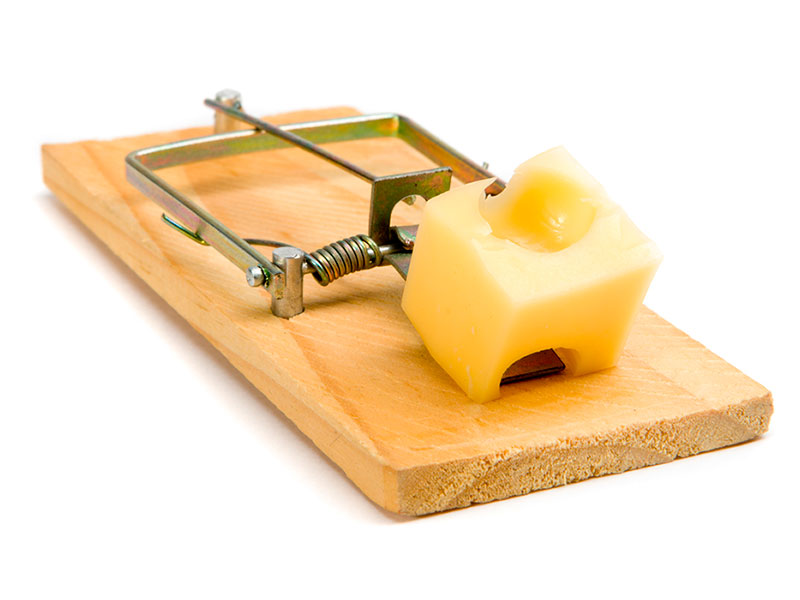 Бесплатный сыр бывает в мышеловке